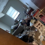 Waste junk removal