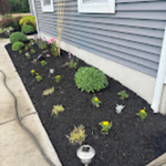 Project Photos