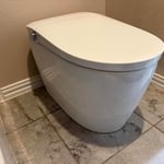Toilet Replace