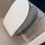 Toilet Replace
