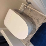 Toilet Replace