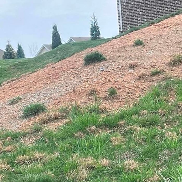 Landscaping makeover