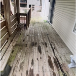 Deck and Railing