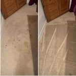 Carpet cleaning