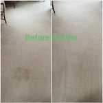 Carpet cleaning