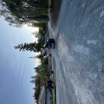 Driveway restoration