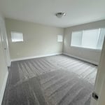 Carpet Cleaning