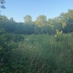 Pomona Pond