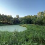 Pomona Pond