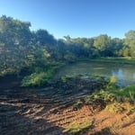 Pomona Pond