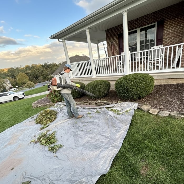 Landscape Projects
