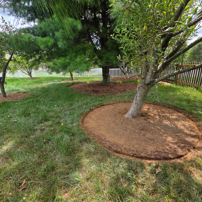 Tree Mulching and Edging