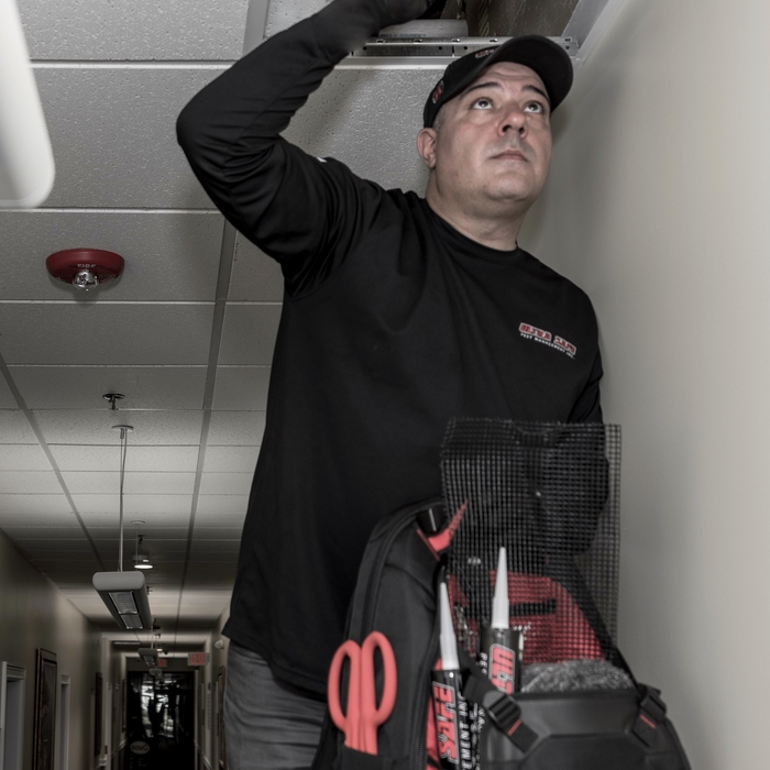 Pest Inspection
