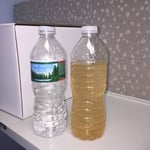 Dissolved Iron Problem