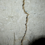 Termite mud tube in foundation crack