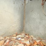 Termite mud tube on foundation