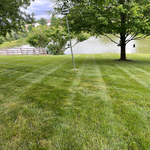 Lawn care