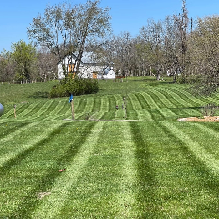 Lawn care