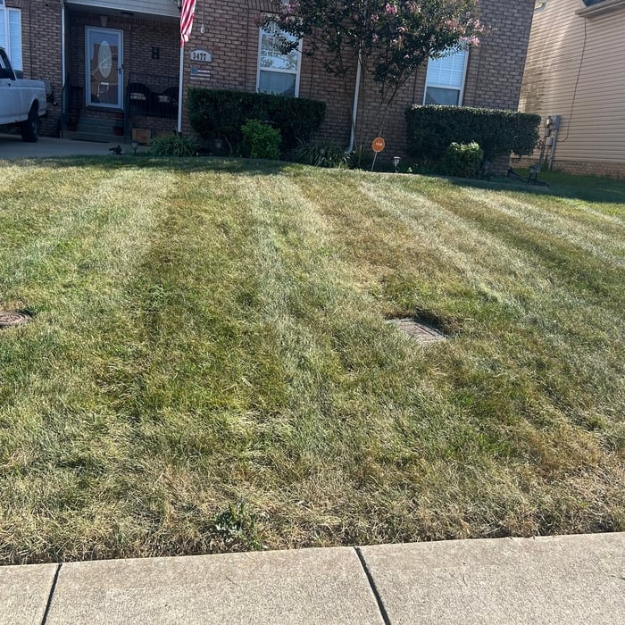 Mow Grass