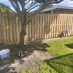 Fence Rehab