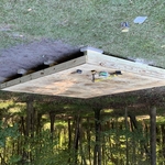 Foundation Build for Shed