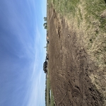 Privacy Berm