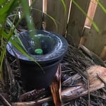 Eco-Friendly solutions