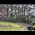 Land clearing in Purvis