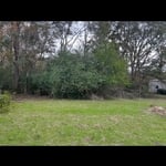 Land clearing in Purvis