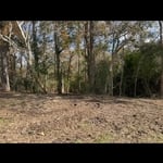 Land clearing in Purvis