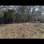 Land clearing in Purvis
