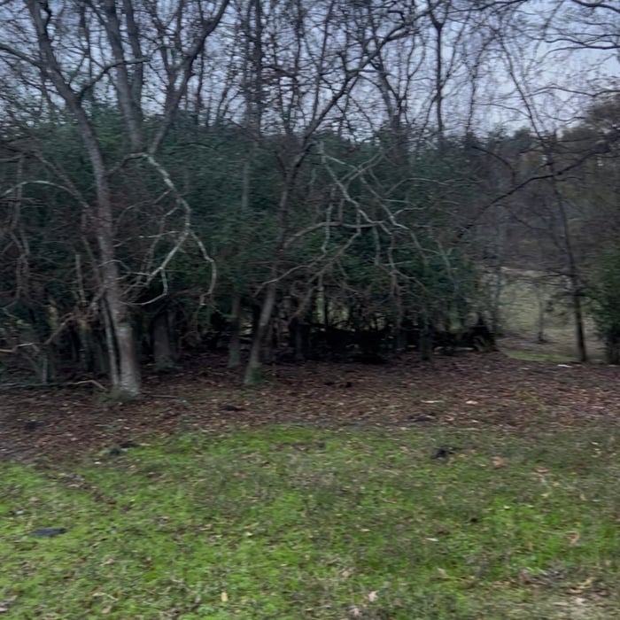 Land clearing in Purvis