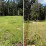 Pasture mowing