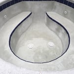 Plaster Pool and Spa