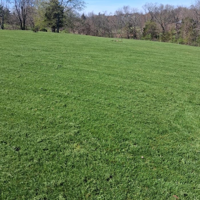 Basic Mow