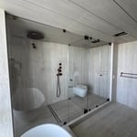 Frameless shower door