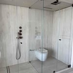 Frameless shower door
