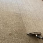 Carpet