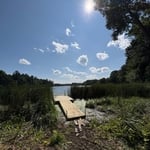 Swimming Dog