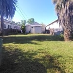 lawn mowing