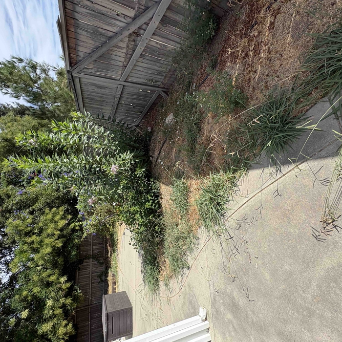Yard Demolition 