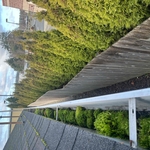 Gutter Cleaning
