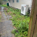 Lawn Bed Clearing
