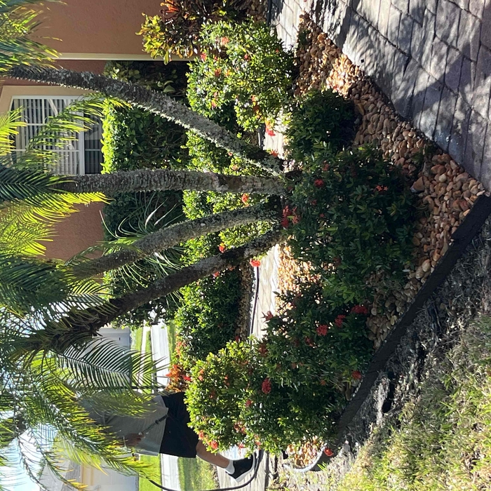 Landscaping