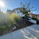 Landscape design
