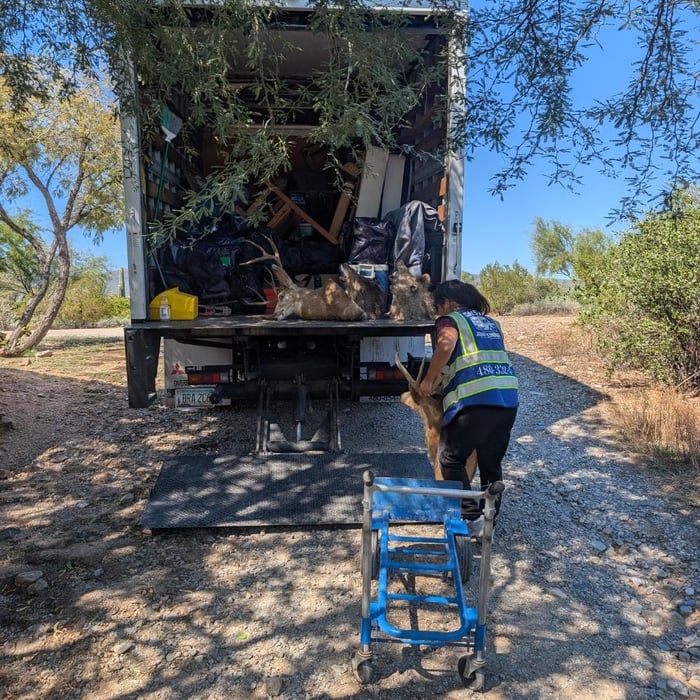 Junk Removal/Moving