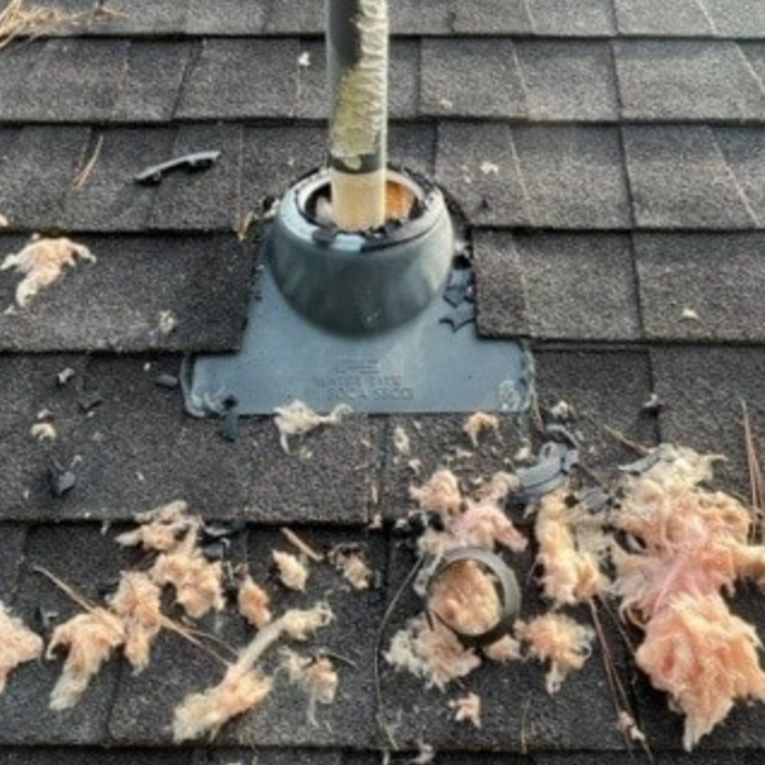 Pipe job
