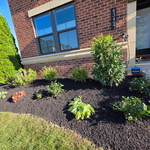 Landscaping Services