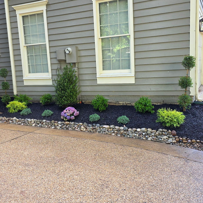 Landscaping Services