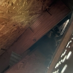 Juvenile - Attic
